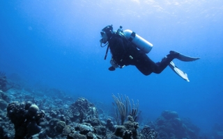 Bucear en el caribe mexicano